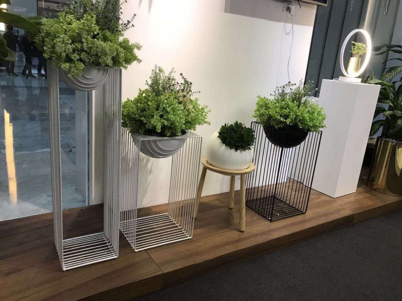 花架（jià）植物