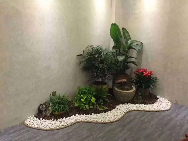 艺（yì）术组合盆景