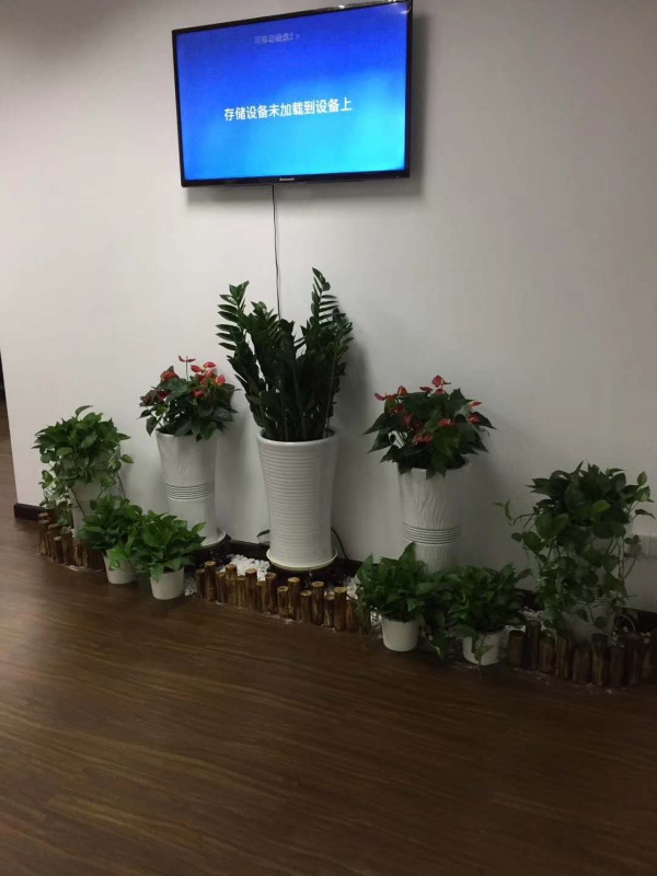 艺术组合盆（pén）景