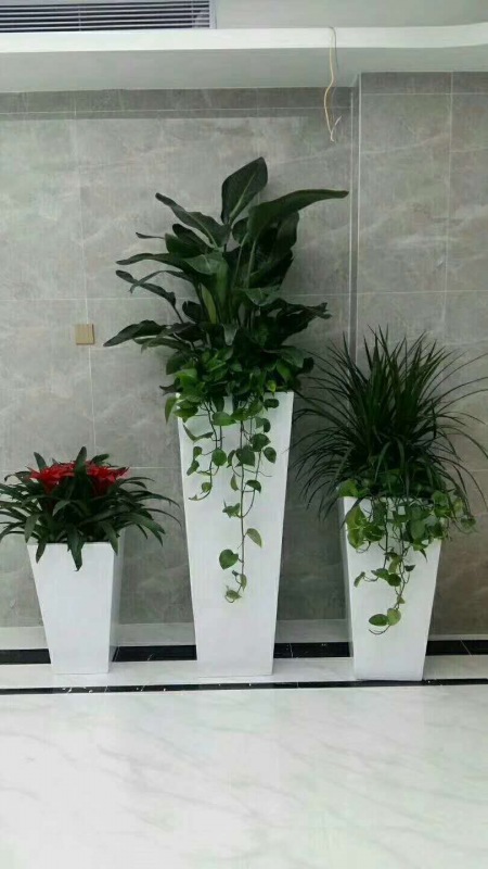 艺术组合（hé）盆（pén）景