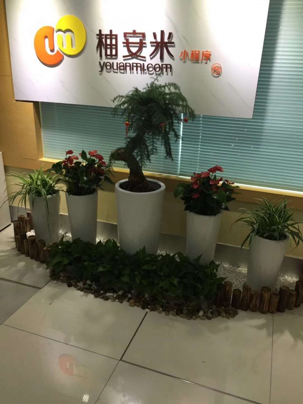 艺术组合盆（pén）景