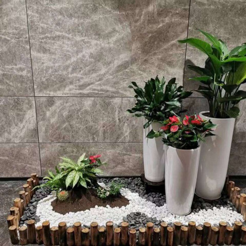 艺(yì)术组合盆景