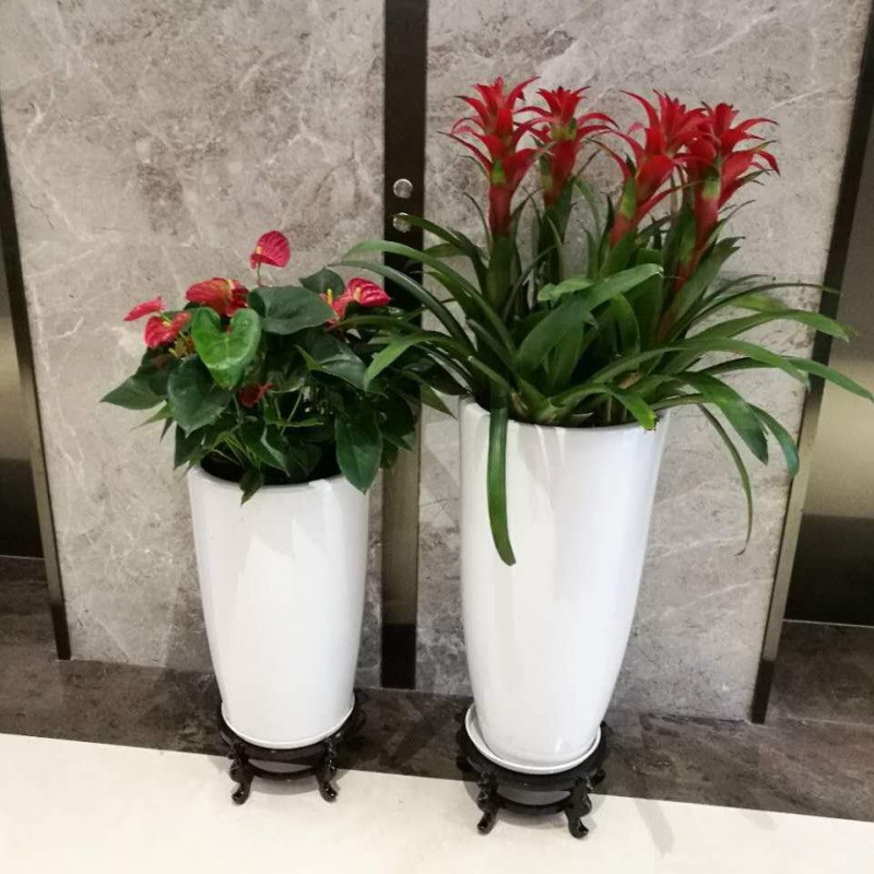 艺(yì)术组合盆景