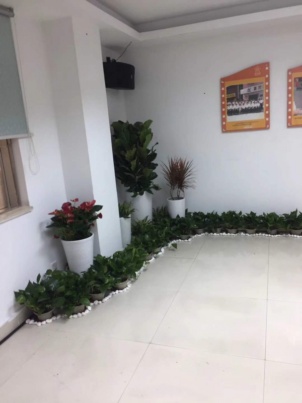 艺术组合盆景（jǐng）