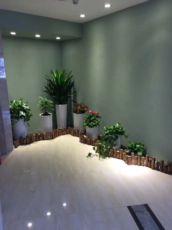 艺术（shù）组合盆景