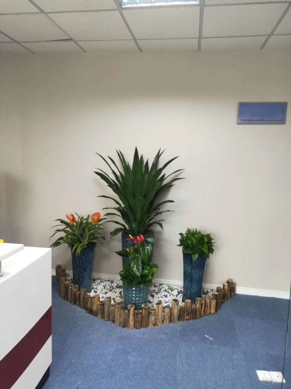 艺（yì）术组合盆景