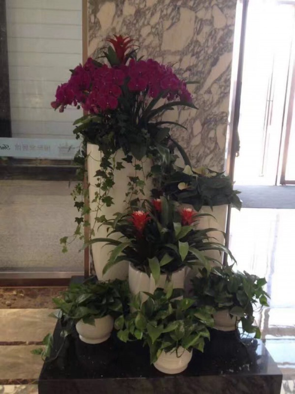 艺术组合盆景（jǐng）