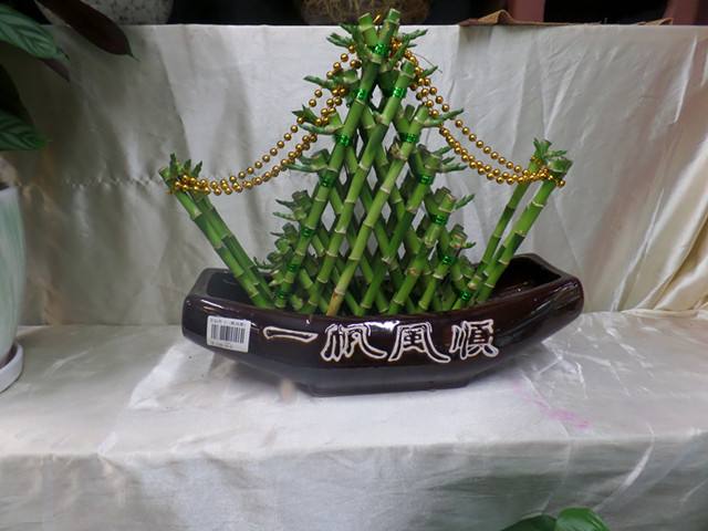 桌面盆景（jǐng）