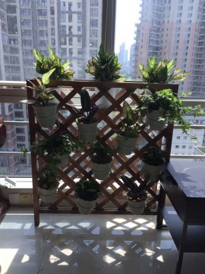 花（huā）架植物