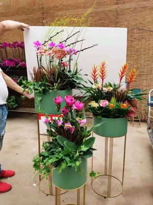 花（huā）架植物