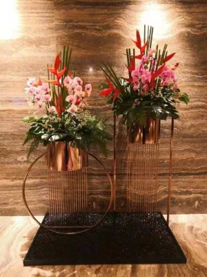 花架（jià）植物