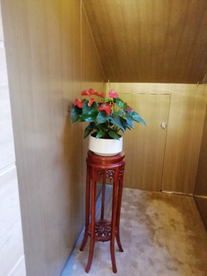 木架植（zhí）物