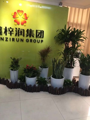 艺术（shù）组合盆景