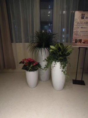 艺（yì）术（shù）组合盆（pén）景