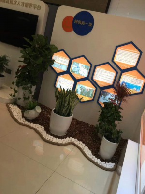 艺术组合盆景（jǐng）