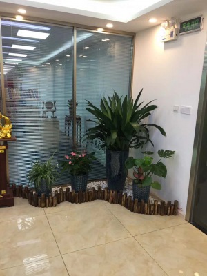 艺术组合盆（pén）景