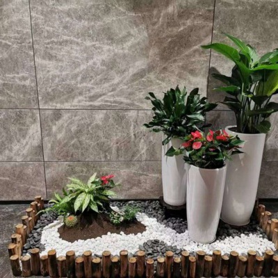 艺术组合盆（pén）景