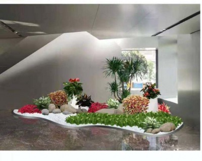 艺术组合盆（pén）景