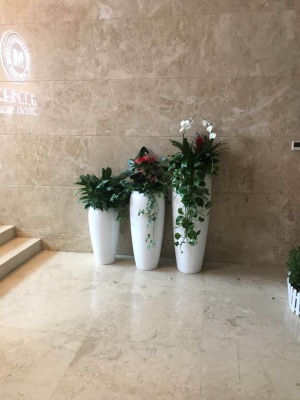 艺术组合盆景（jǐng）