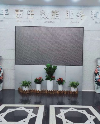 艺术组合盆景（jǐng）