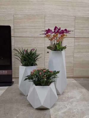 艺术组(zǔ)合(hé)盆景