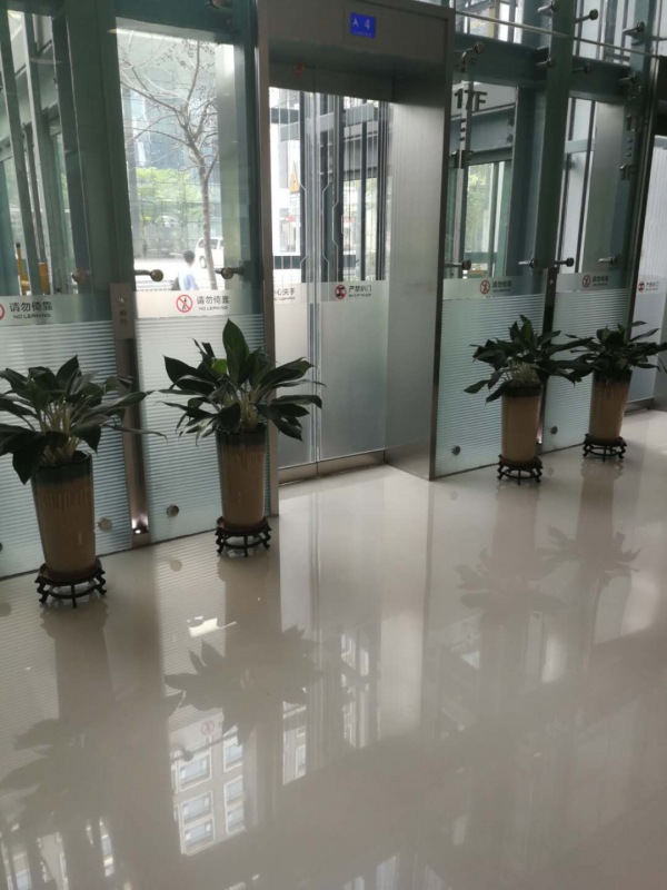 桌面小花（huā）